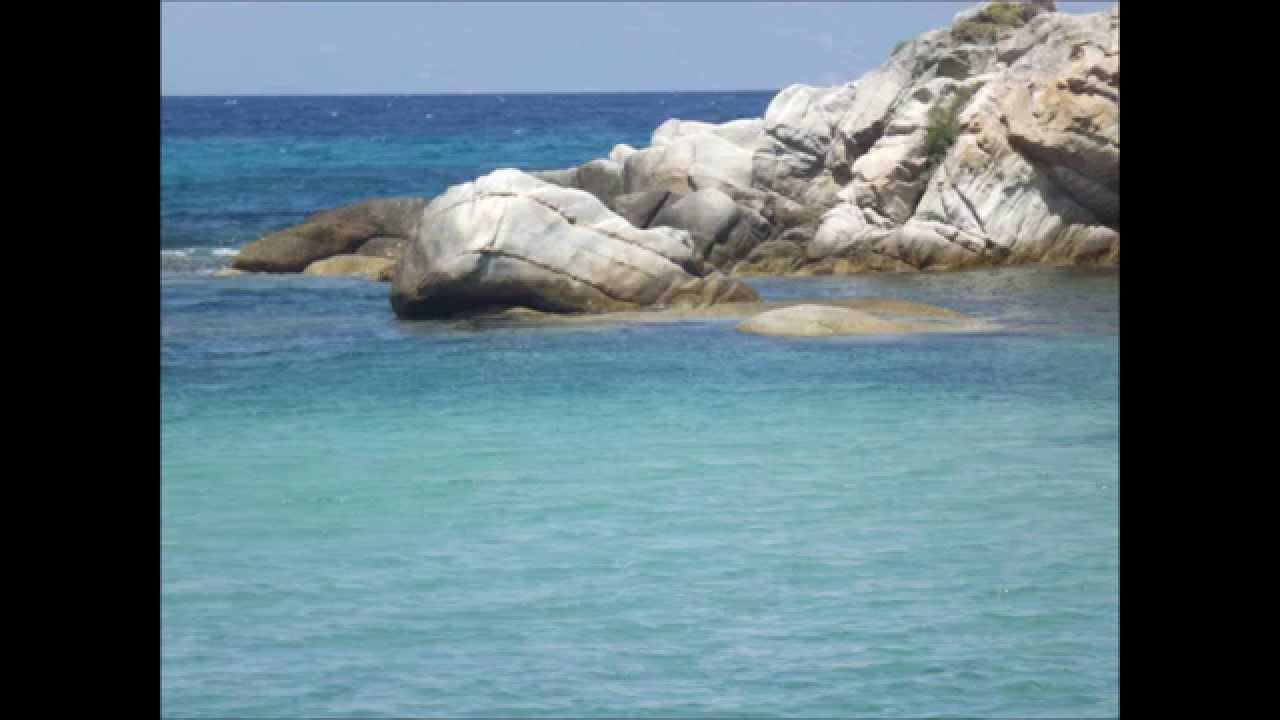 Sarti 2015