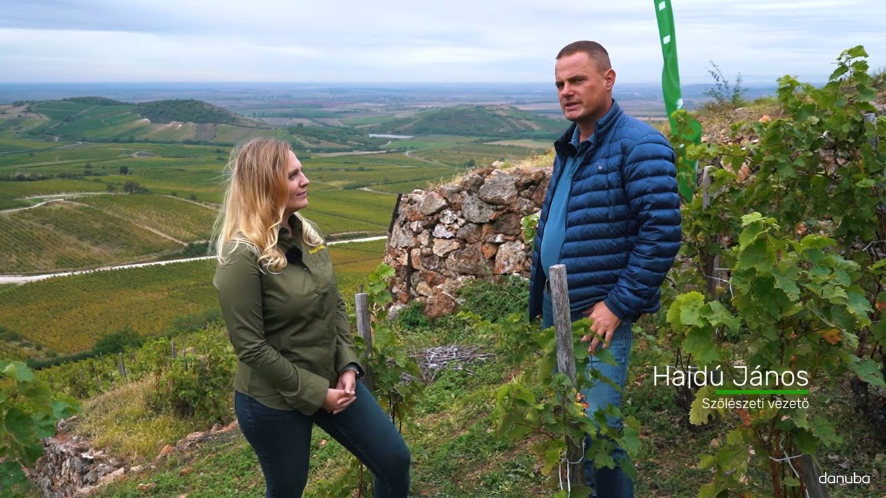 TRICHO IMMUN mikrobiol&oacute;giai k&eacute;sz&iacute;tm&eacute;ny alkalmaz&aacute;sa a Barta Pince organikus &uuml;ltetv&eacute;nyeiben