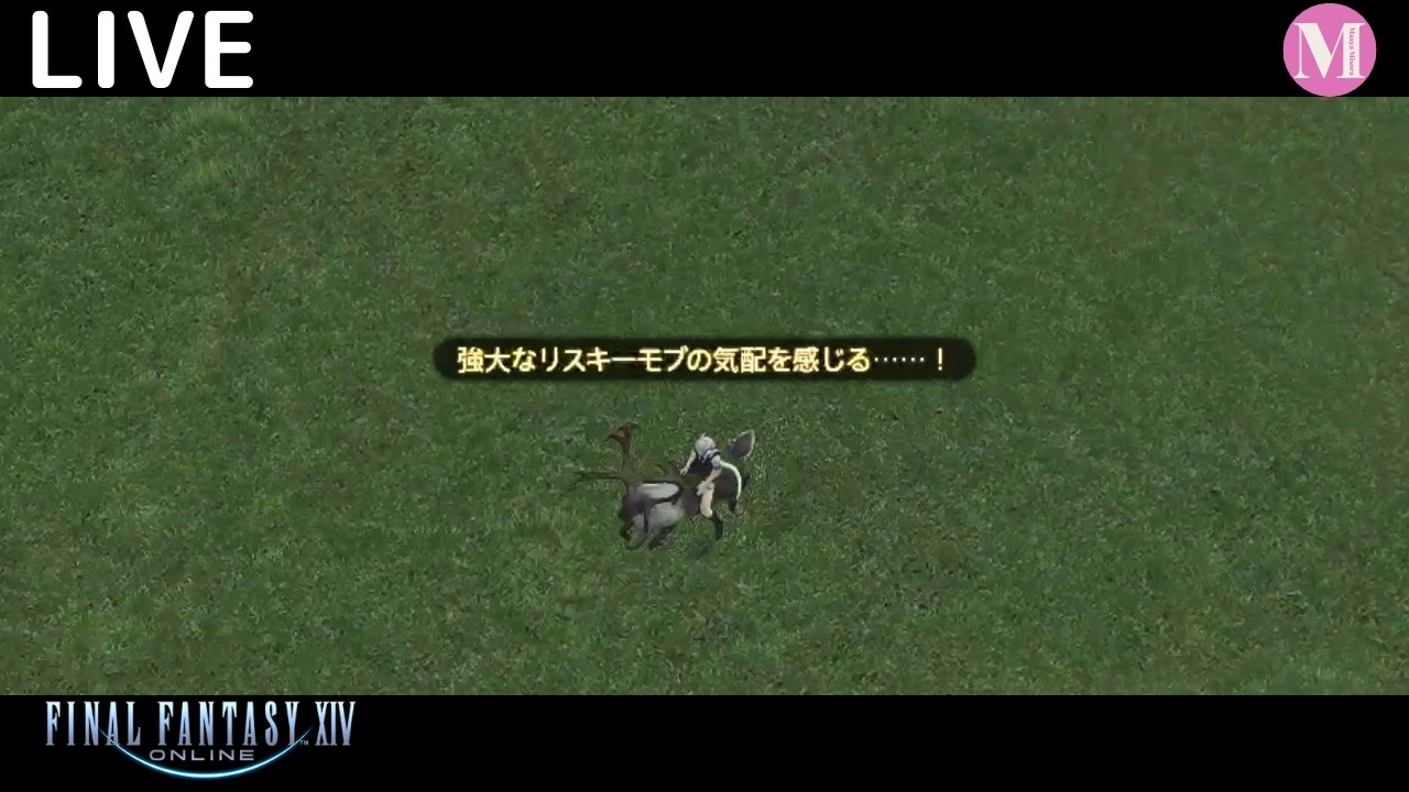[FF14] ハントとか