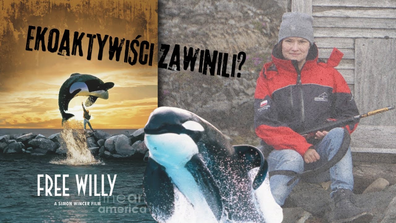 Keiko: bohaterka filmu &bdquo;Uwolnić orkę&rdquo; i wolność kt&oacute;rej nie chciała. 
