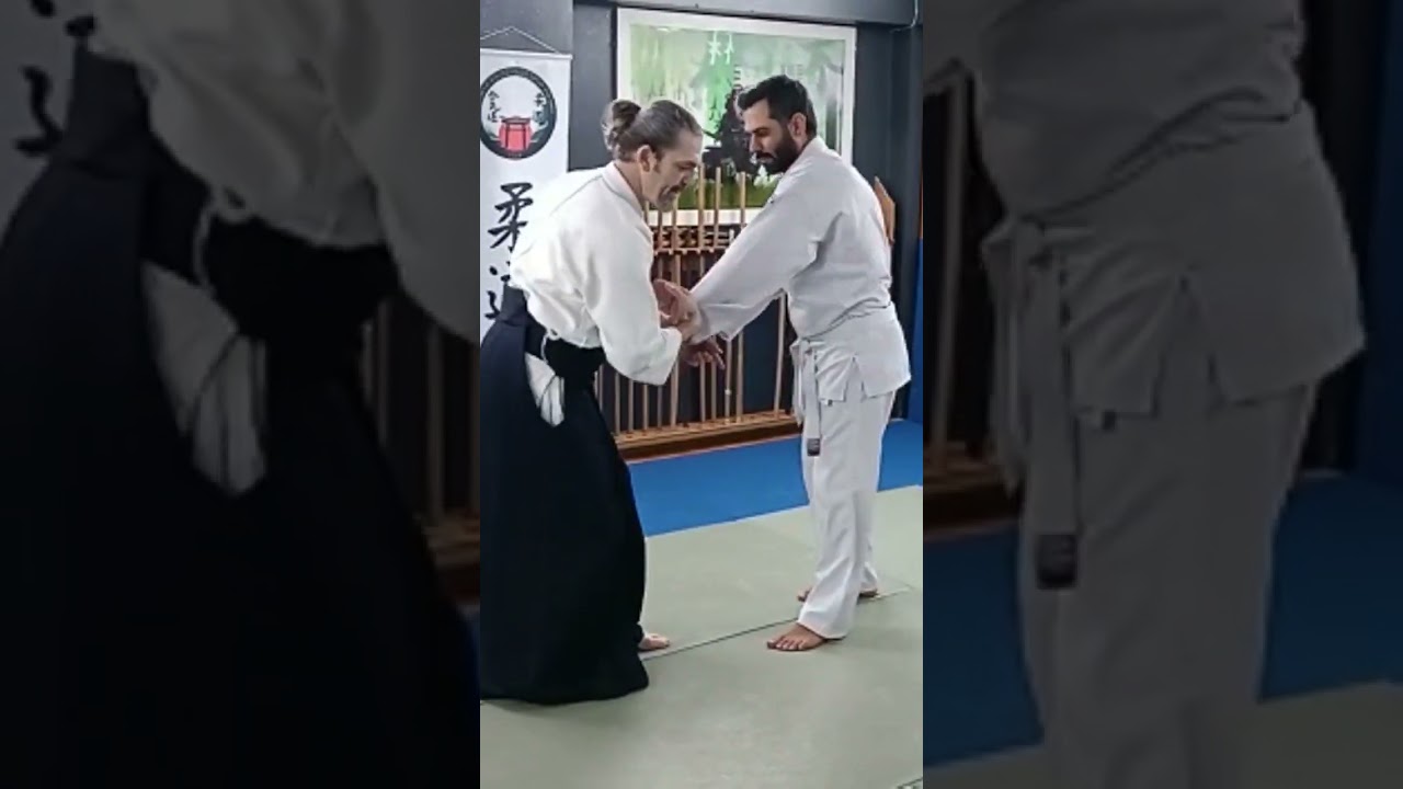 Aikido Teknikleri
