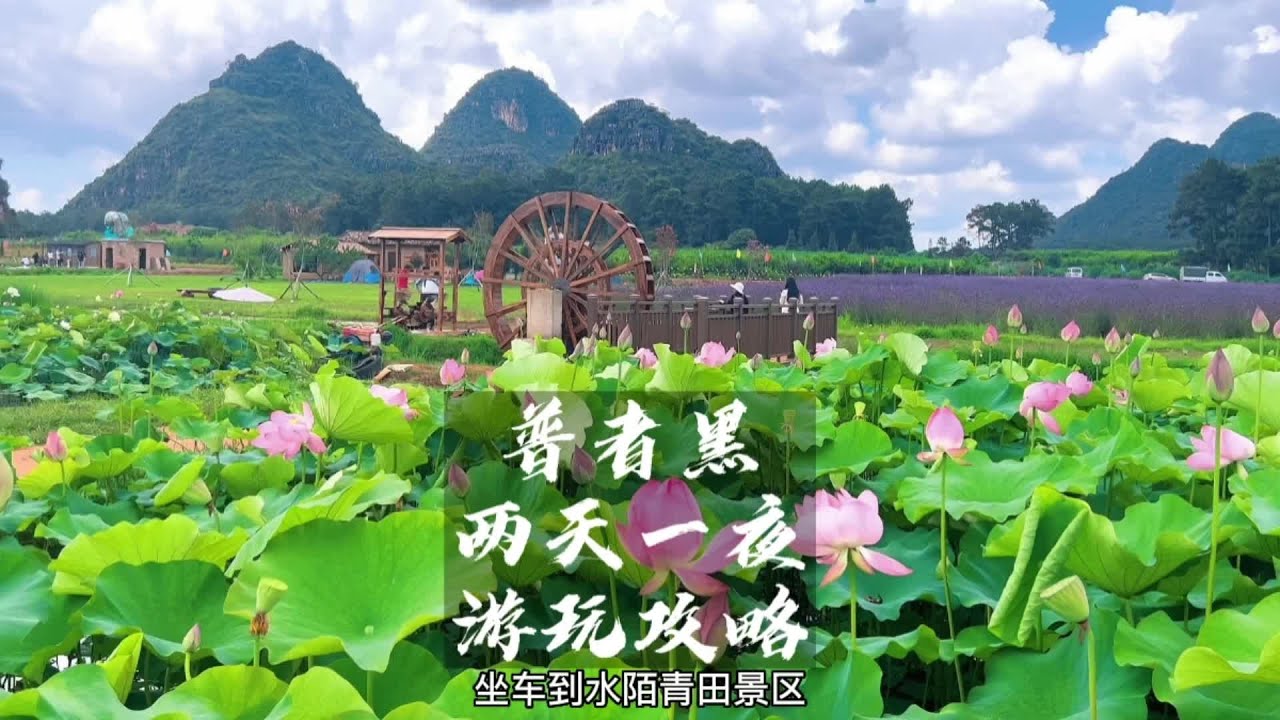 云南普者黑荷花开了，绝对是夏天不能错过的旅行地，游玩攻略给你们准备好了，你要艾特谁一起来呢？#旅行推荐官 #普者黑荷花 #旅游攻略 #云南文旅 #全能导游