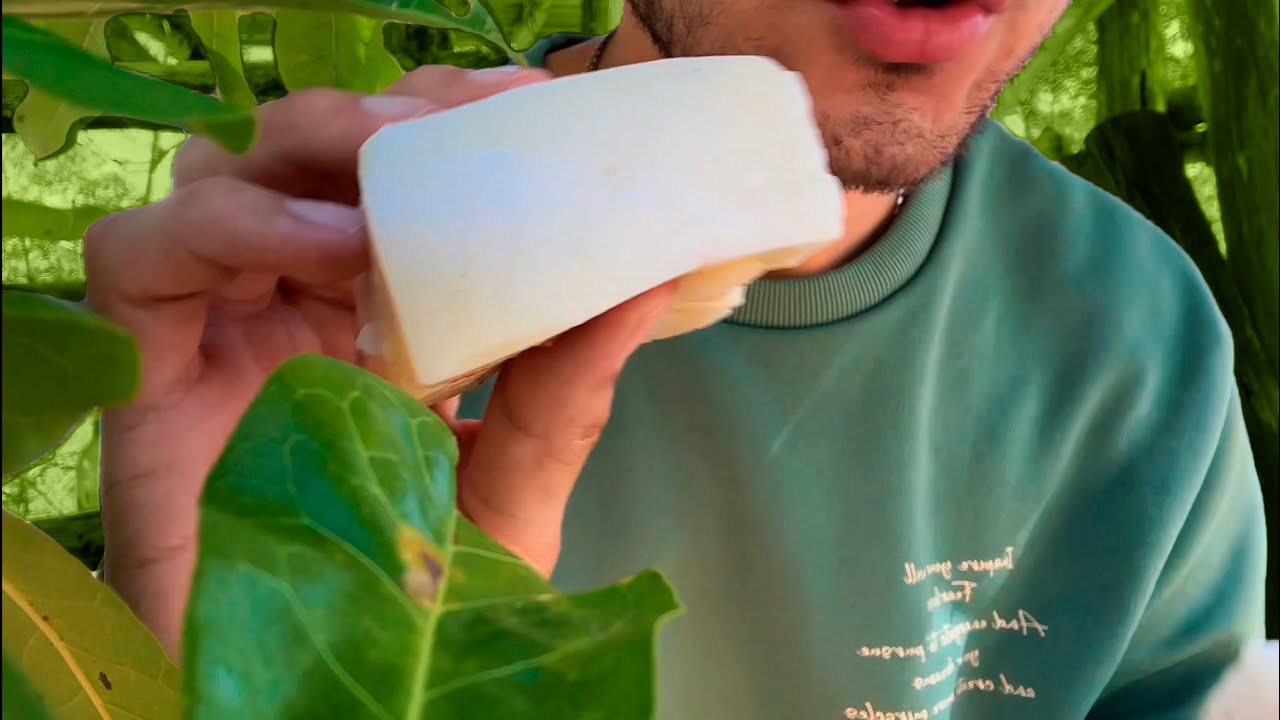 ASMR Comiendo ¡Cremita de Coco! 🥥 🌴Sonidos Chiclosos