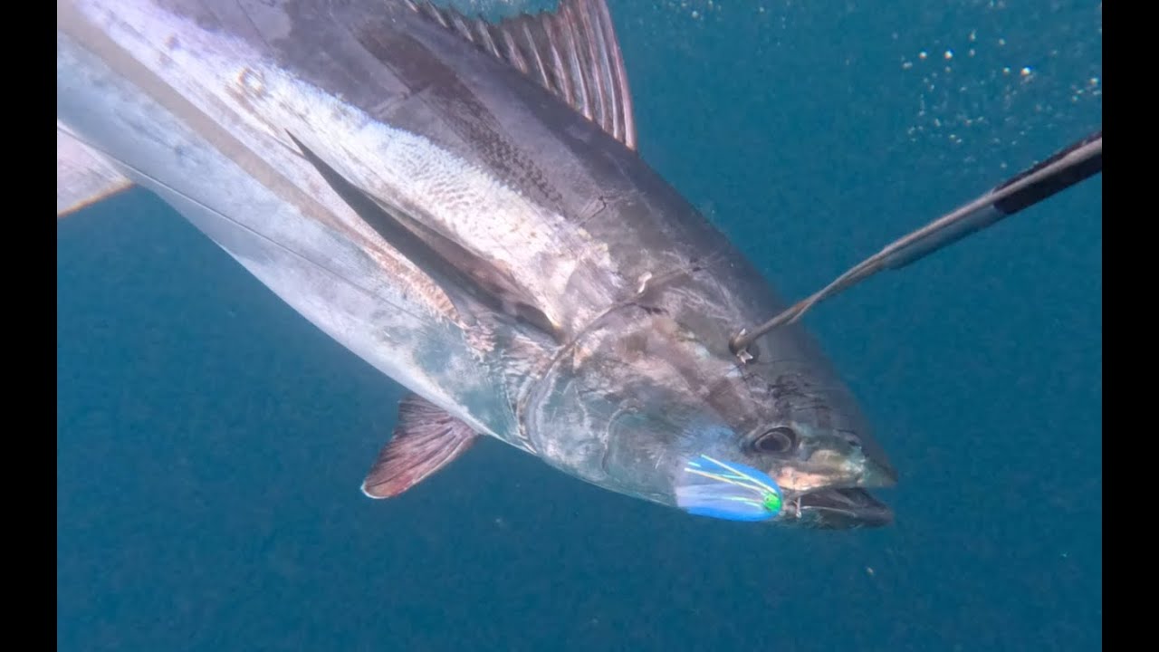 GIANT Bluefin Tuna Tube Fishing! Nags Head Outer Banks – Monster Catch to Market | On The Hook TV