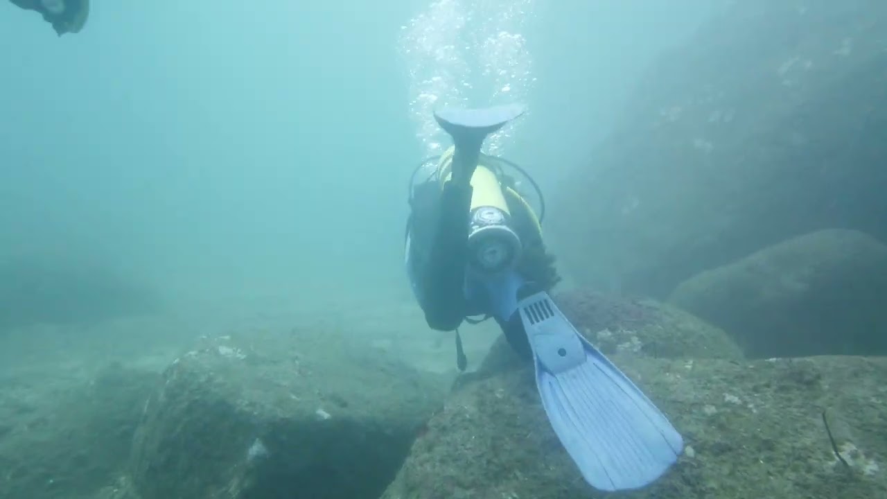 log29 260128 Hikkaduwa Gala
