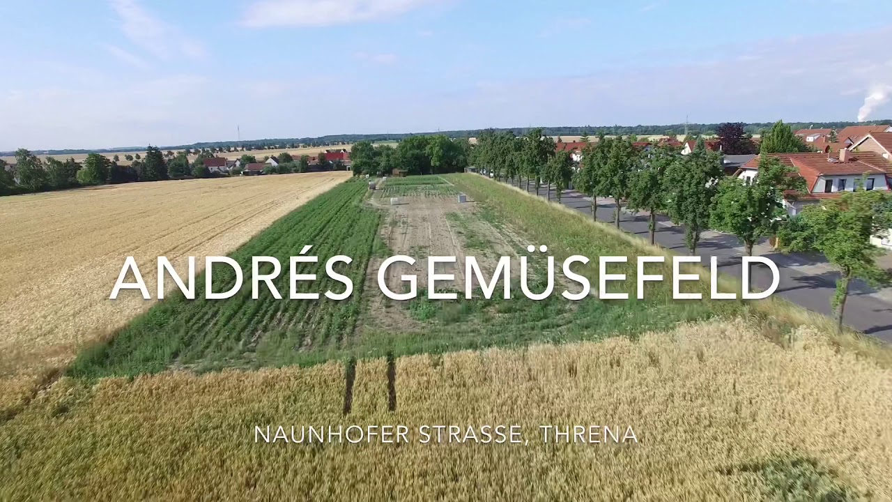 Andr&eacute;&acute;s Gem&uuml;sefeld in Threna - Direktverkauf frisch vom Feld