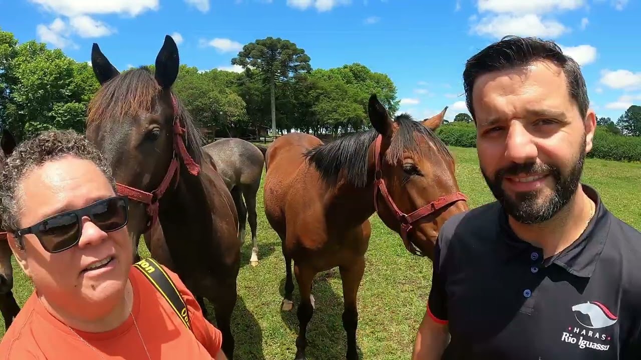 Haras Rio Iguassu 2025, 713 falando de turfe