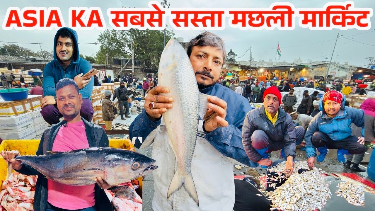 दिल्ली की सबसे बड़ी Fish Market 2025 | Biggest Wholesale Fish Market Delhi|ghazipur fish Mandi |RRRM