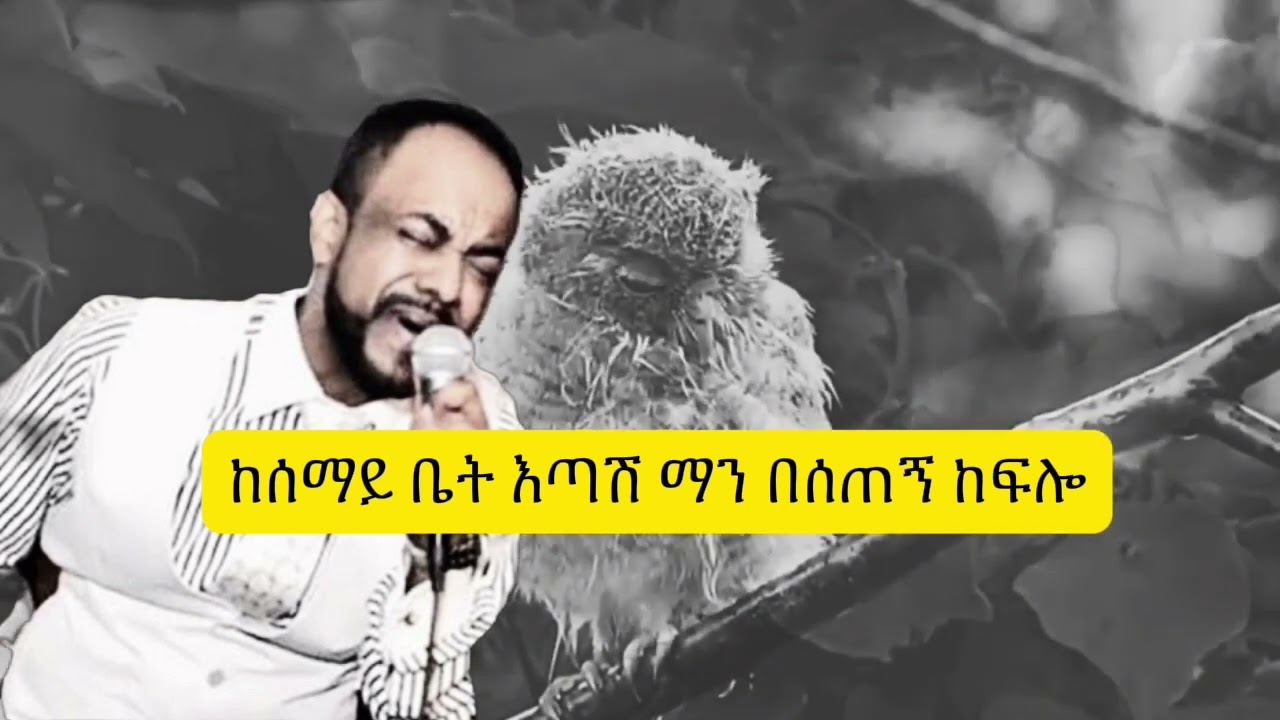 አበበ ተካ (ወፊቱ) Abebe teka (wefitu) by Lyrics