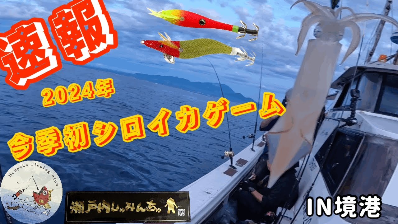 今季初シロイカゲーム🦑🎣終始このカラーが良かった🦑【境港】