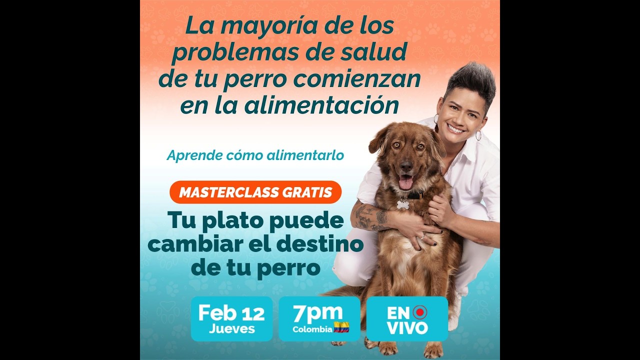 🎬 🐶 MasterClass 