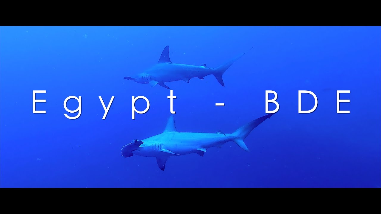 Egypt BDE | Brothers, Daedalus, Elphinstone | Dune Travel | Scuba Diving | Plongée en Egypte 4K