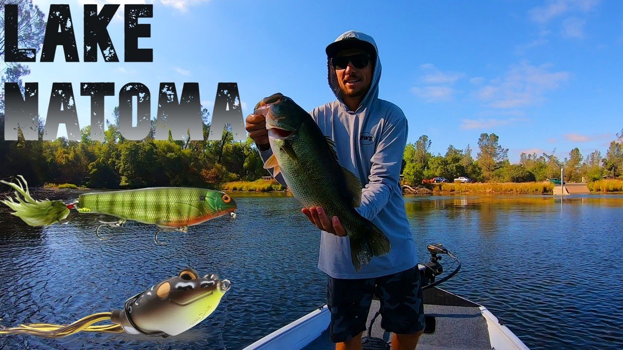 Поверхностная рыбалка на озере Натома. Это потрясающее место. Рыбалка на окуня на озере Натома.