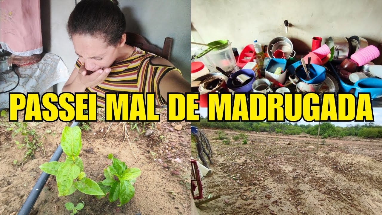 Ninguém viu isso… passei mal de madrugada 😔