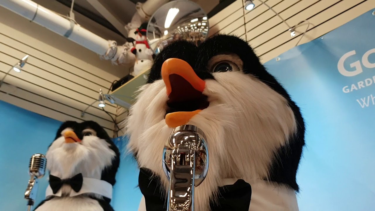 Meeting Christmas Singing Penguins @ Gordale Garden Centre