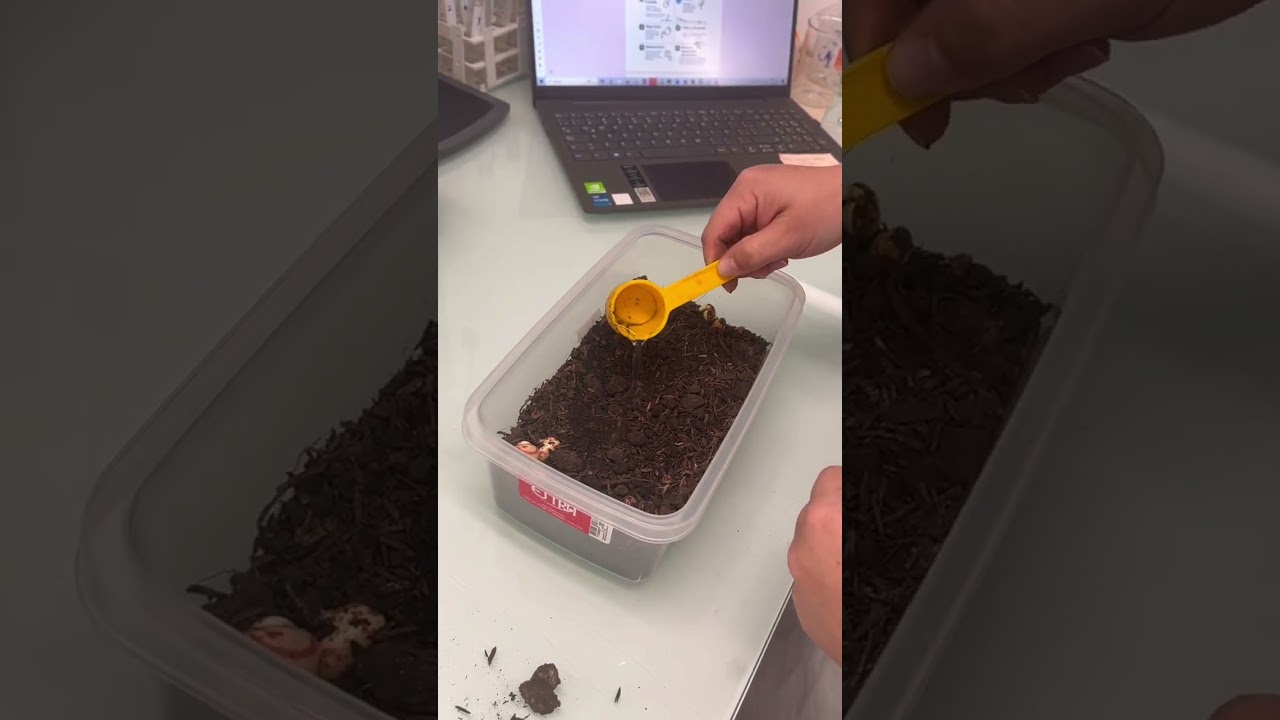 Evidencia panel expertos