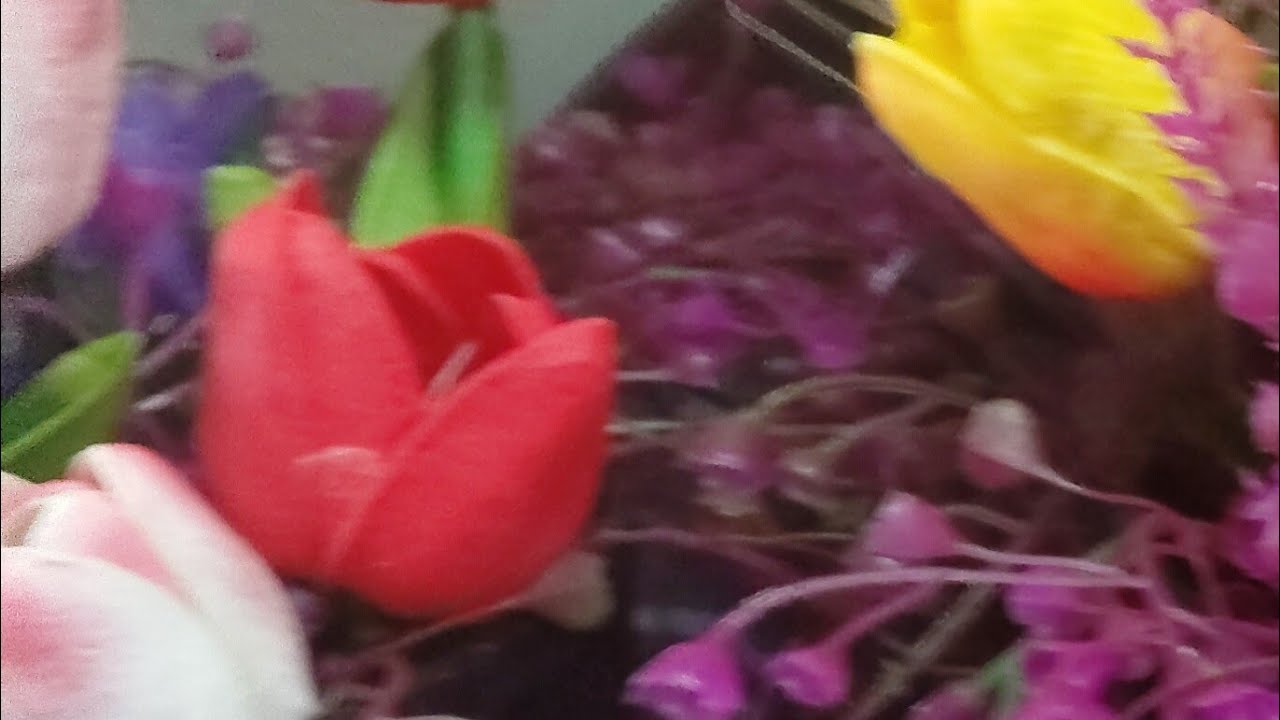 สแตนบายชมดอกไม้สวยๆๆคะ