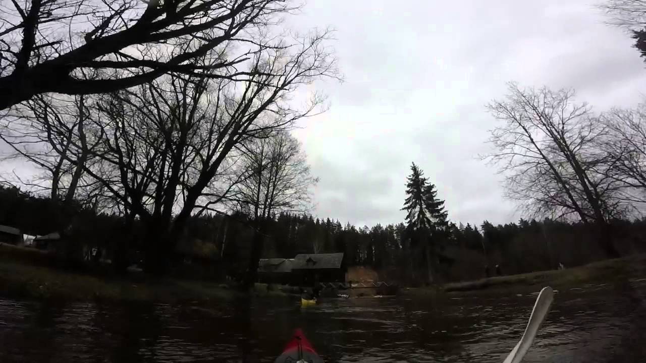 Viira veskitamm