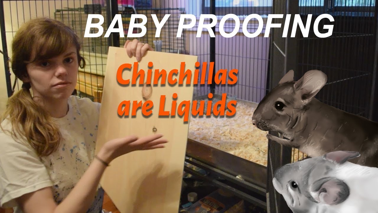 Escape Proofing a Ferret Nation Cage for a Baby Chinchilla