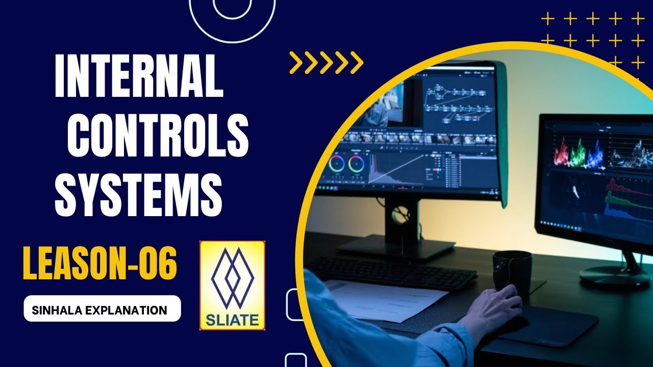 Internal controls systems | Auditing | HNDA | Lesson - 06 | SInhala Explanation 🎧🎧