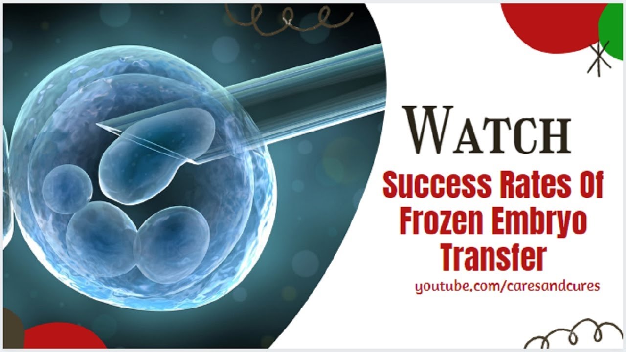 What Is A Frozen Embryo Transfer Cycle |Success Rates Of Frozen Embryo Transfer |Fet Embryo Transfer