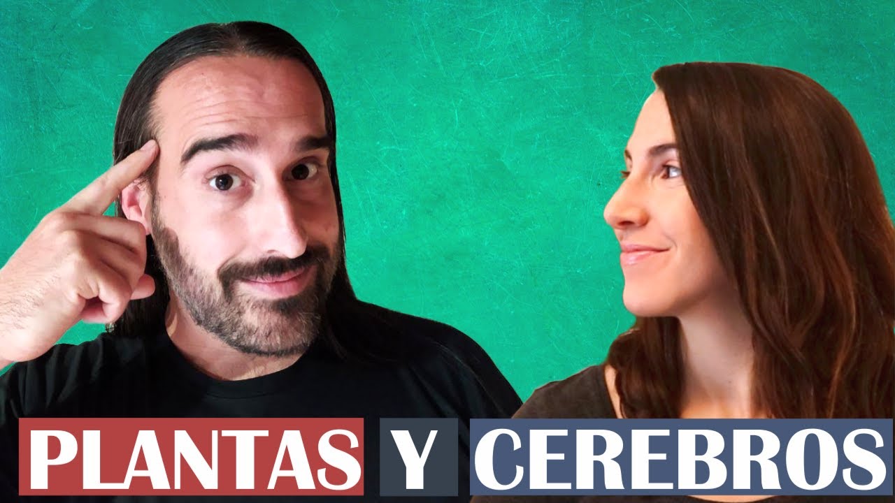🧠¿Tienen cerebro las plantas? 🌱− Colaboración con Óliver del Nozal, de FRAY SULFATO.