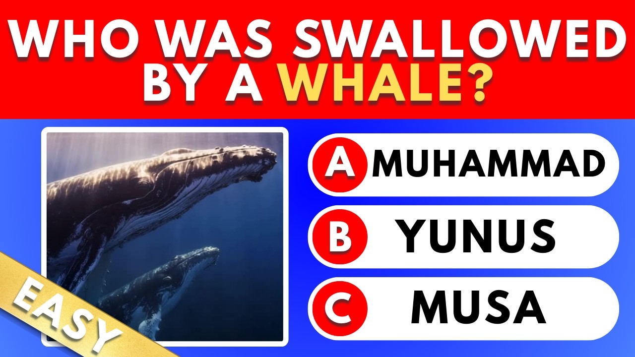Islam General Knowledge Quiz (Easy Difficulty) | ISLAM TRVIA
