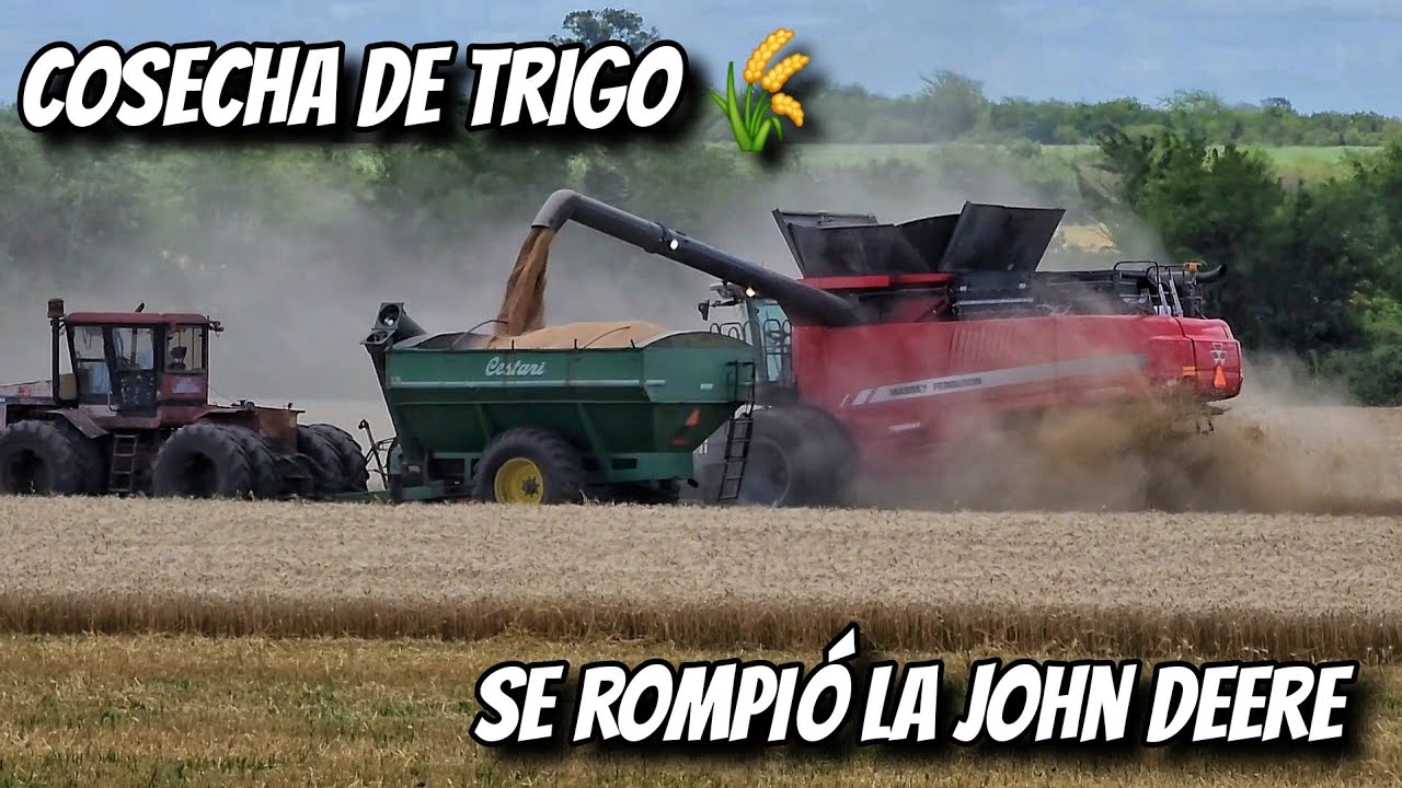 TRASLADO de LOTE, se ROMPIÓ la JOHN DEERE y CARGANDO CAMIONES con TRIGO