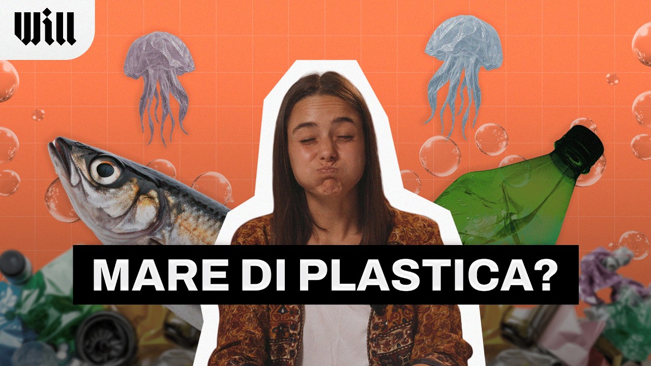 I nostri MARI sono PIENI di PLASTICA?