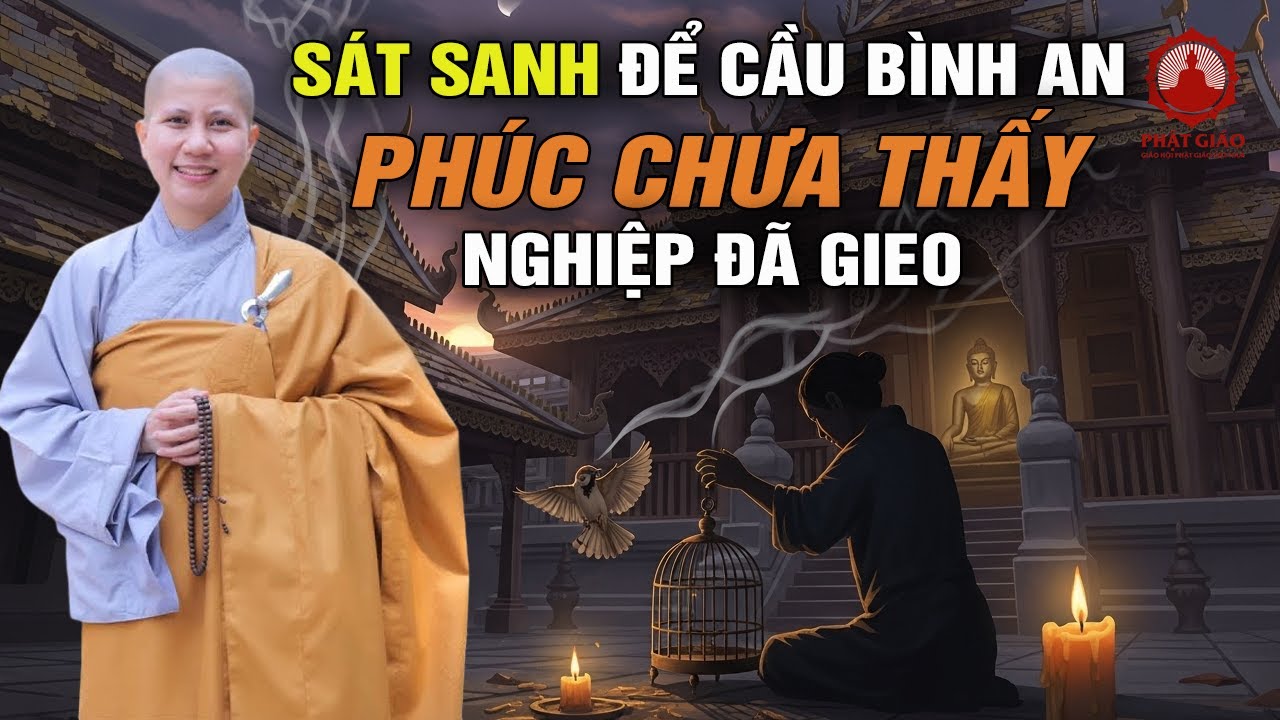 Sát sanh để cầu bình an Phúc chưa thấy, nghiệp đã gieo... SC. Giác Lệ Hiếu trả lời vấn đáp