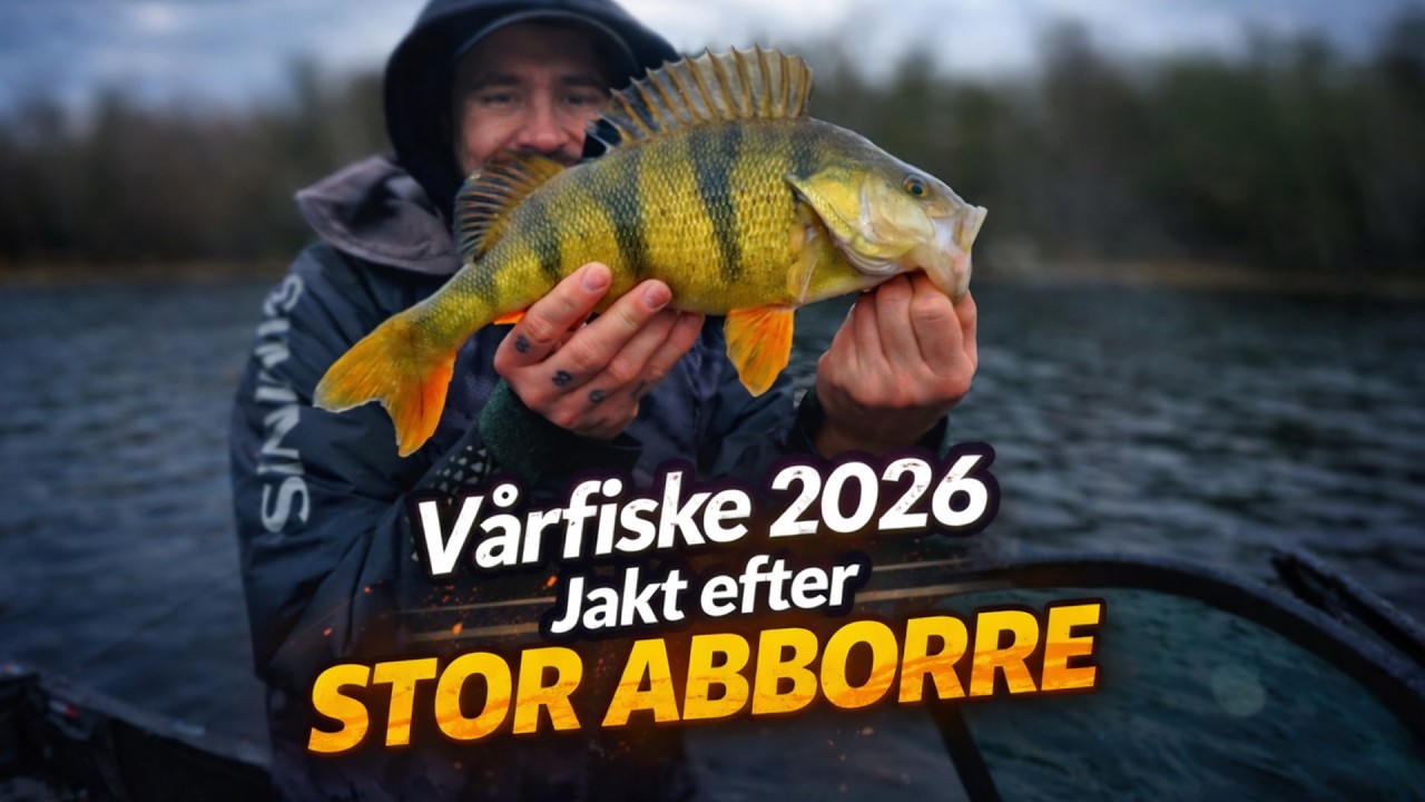 Jakt efter STOR ABBORRE - V&Aring;RFISKE 2026