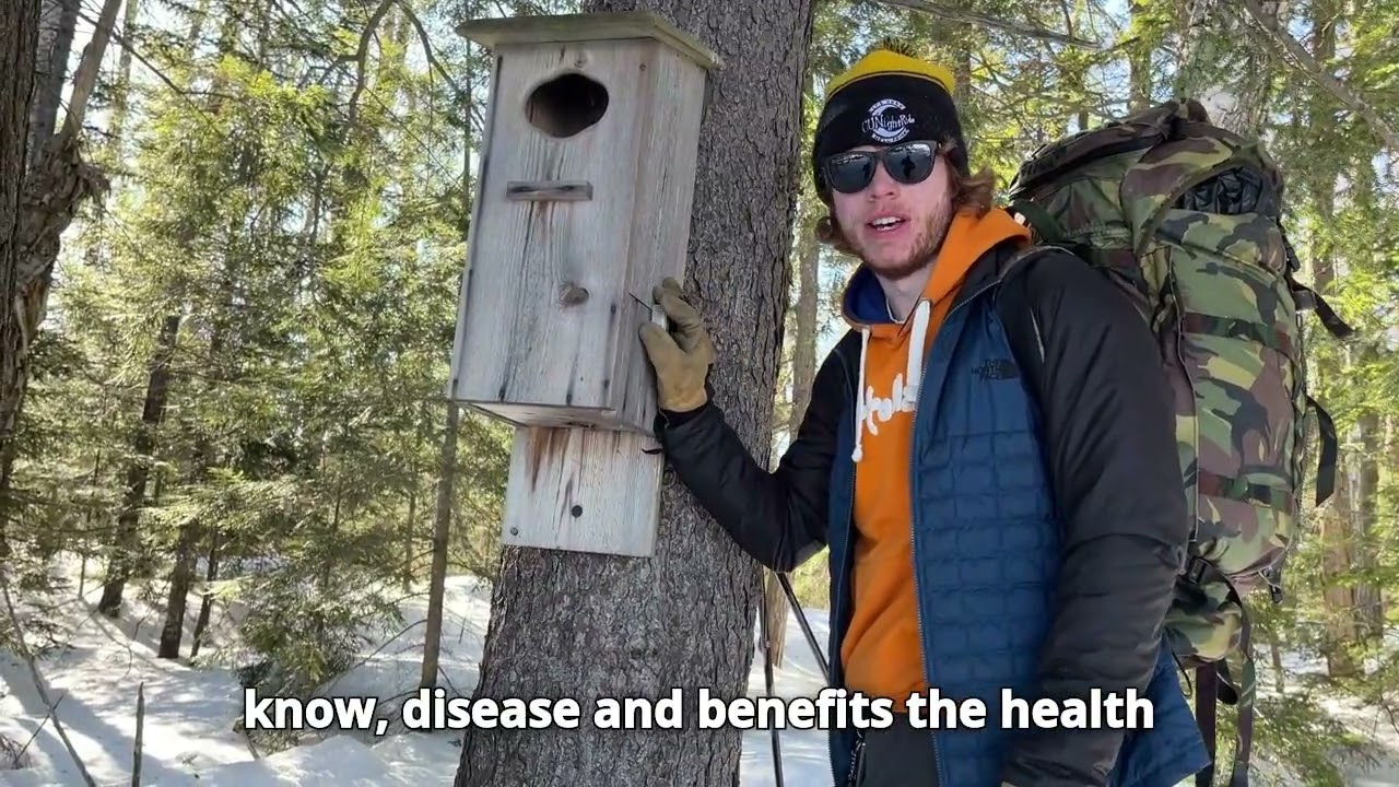 Field Notes Friday: Wood Duck Box Cleaning
