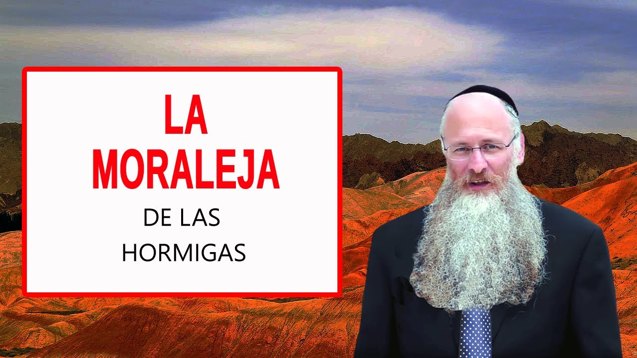 La Moraleja de las Hormigas