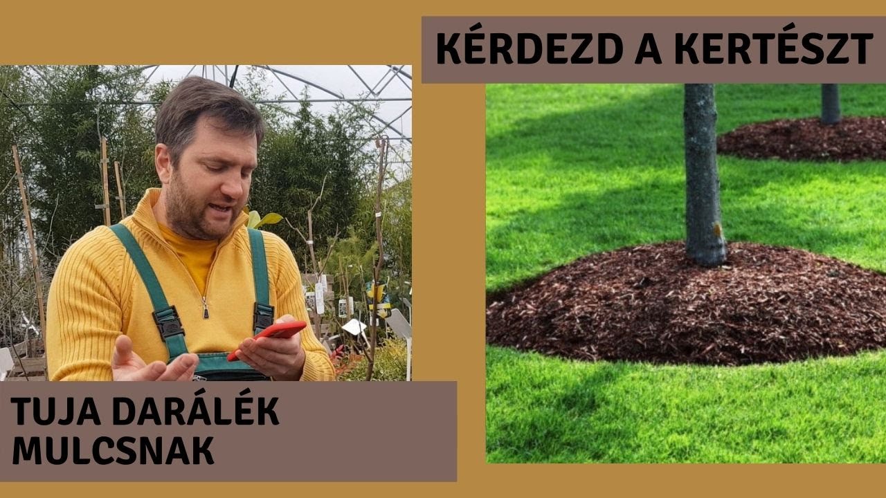 Tuja darálék MULCSNAK A KERTBEN | KÉRDEZD A KERTÉSZT