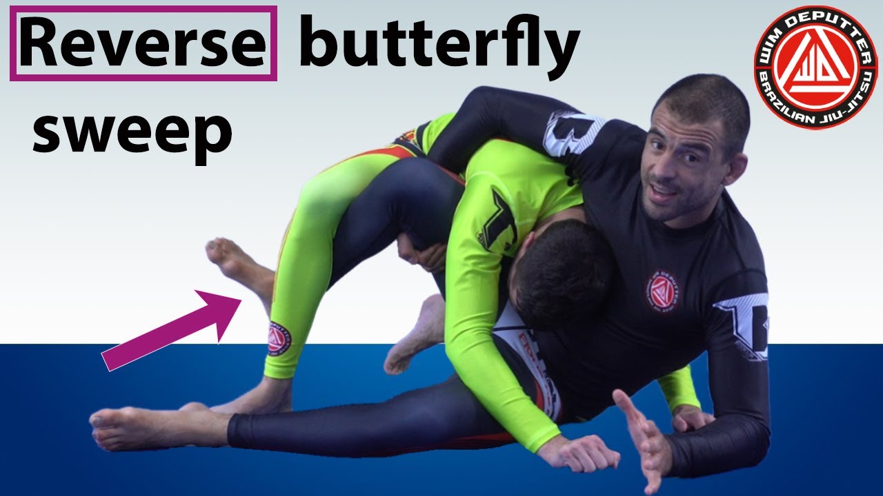 Reverse butterfly sweep (How to use the headlock in bjj part 6)