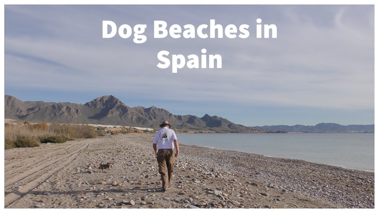 Camposol Spain Dog Beaches