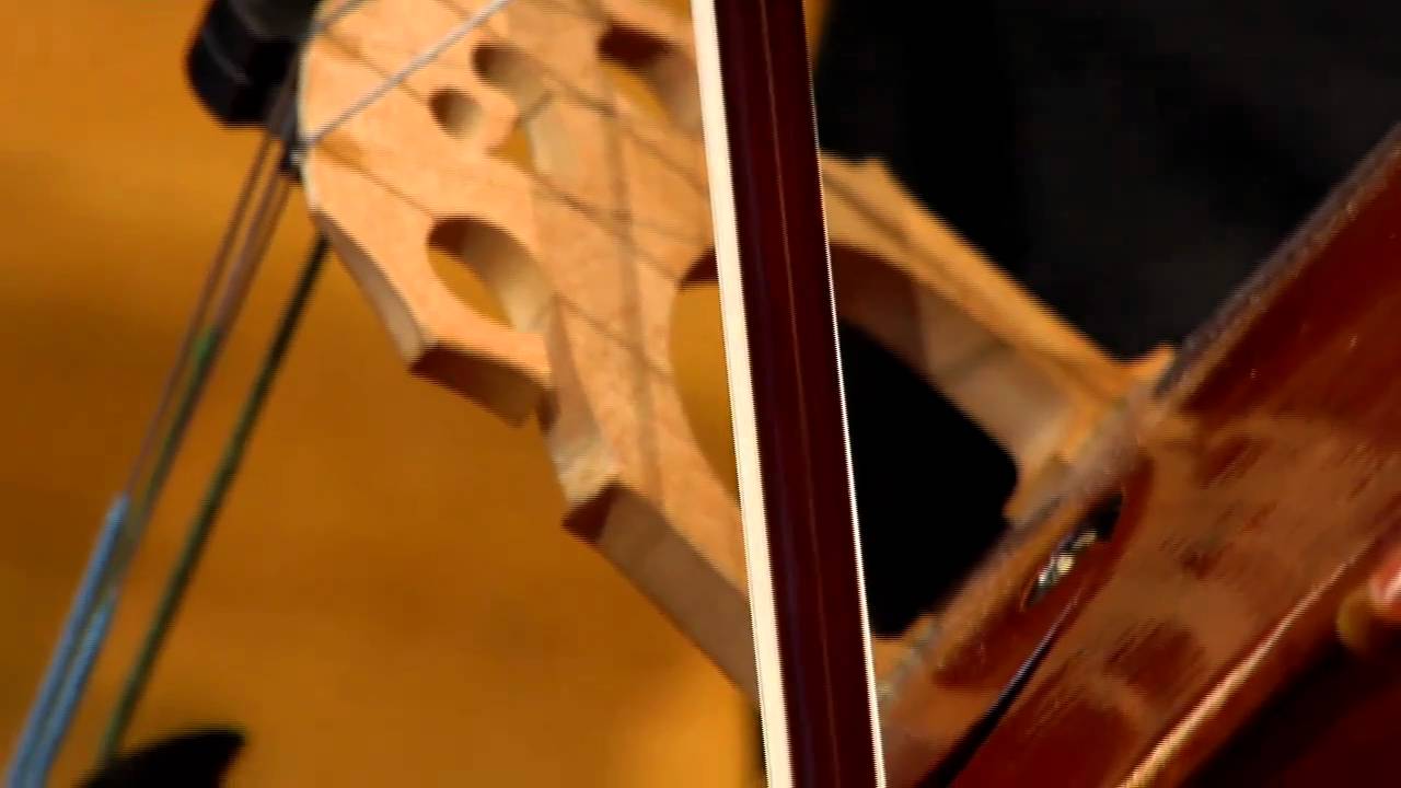 Oberlin Orchestra Asia Tour 2010