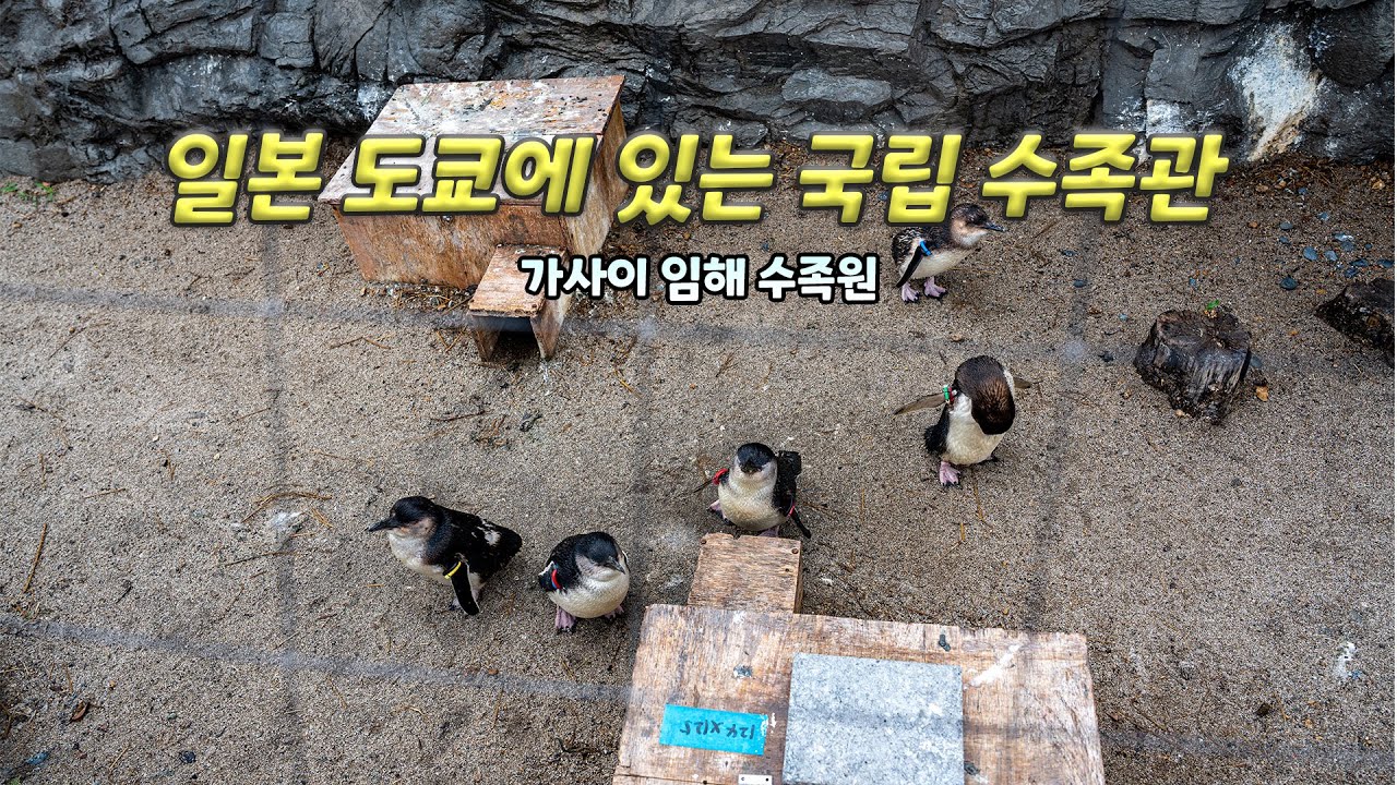 일본 도쿄에서 덜 알려진 국립 수족관! 가사이 임해 수족원