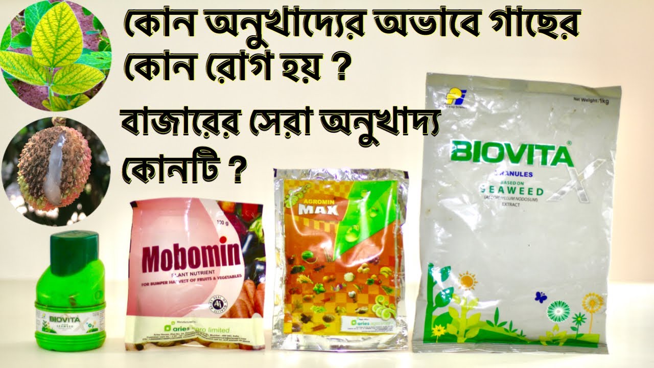 গাছের অনুখাদ্যের A to Z । Plant Micronutrients Deficiency and Remedy | অনুখাদ্যের অভাবজনিত লক্ষণ