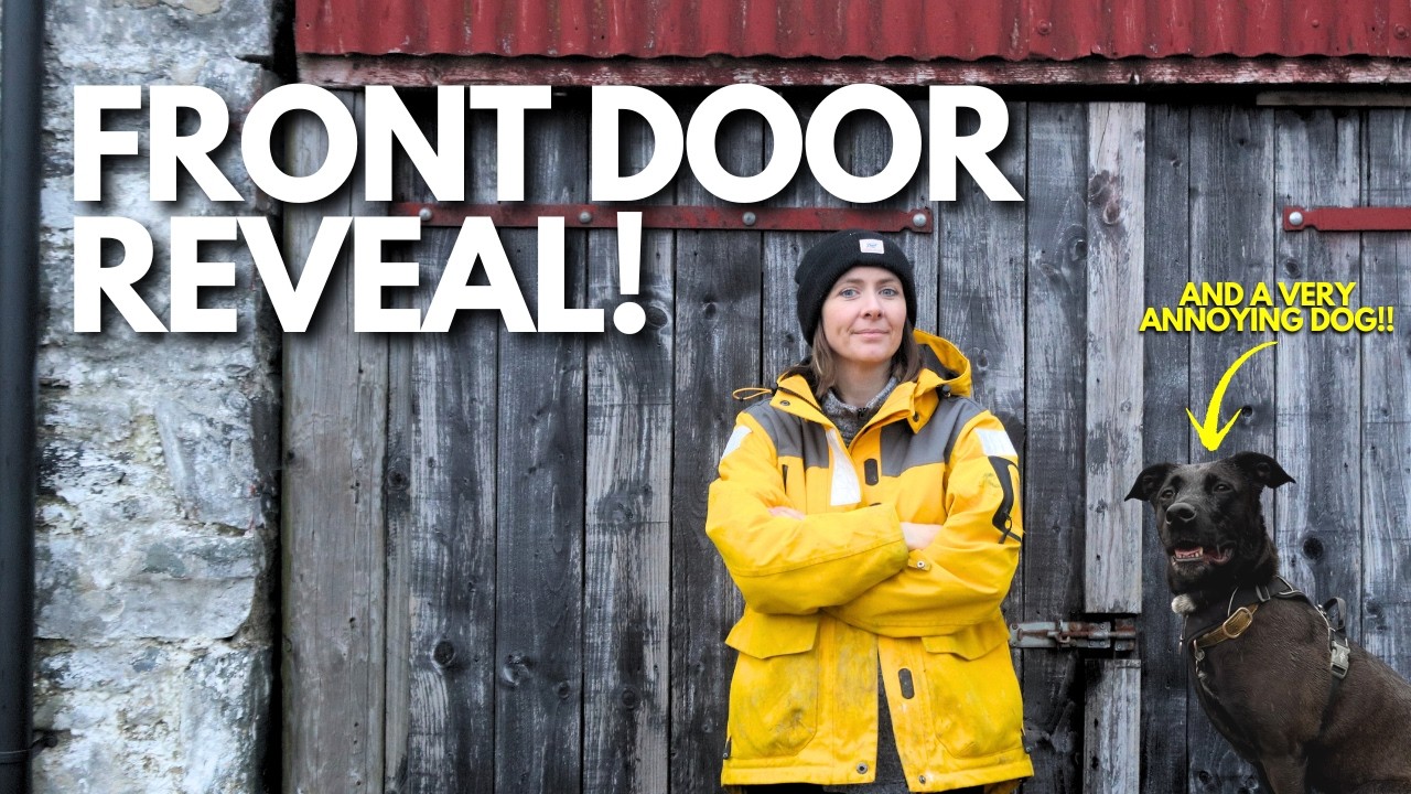 Our Handmade Front Door Is Finally Installed… and One Very Annoying Dog (ep.43)