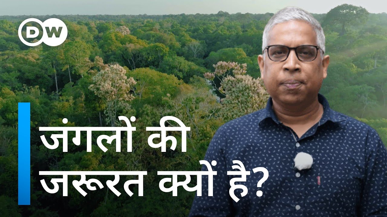 तीन भारत के जितने जंगल क्यों काटे गए [Why are forests so important?]