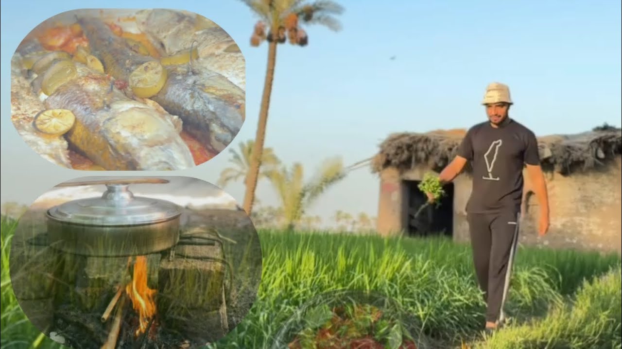 يوم الجمعة.. وأحلى صنية سمك في الفرن البلدي وصوت الشيخ الشعراوي مع إذاعة القرآن الكريم يملأ المكان 