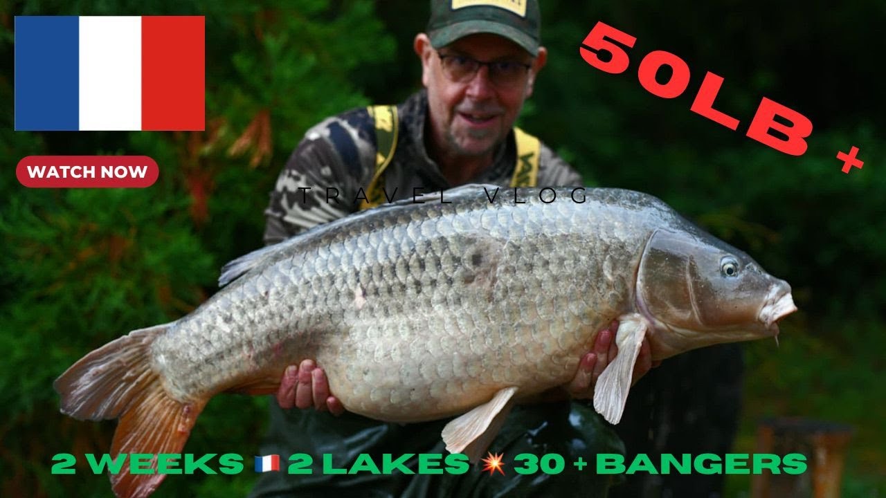 French carp fishing Two weeks 2 lakes 30= Bangers