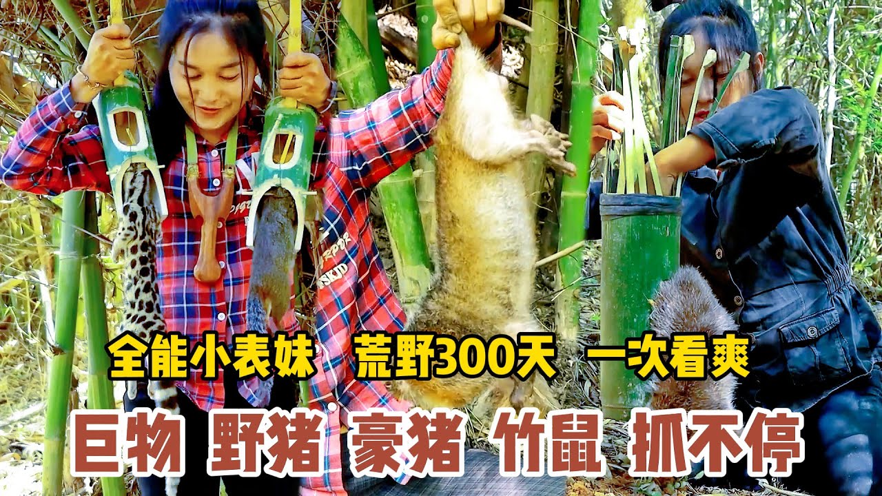 抓野豬鬥豪豬，挖竹鼠捕山雞，采菌子挖山藥，全能小表妹獨自荒野280天，一次看爽！