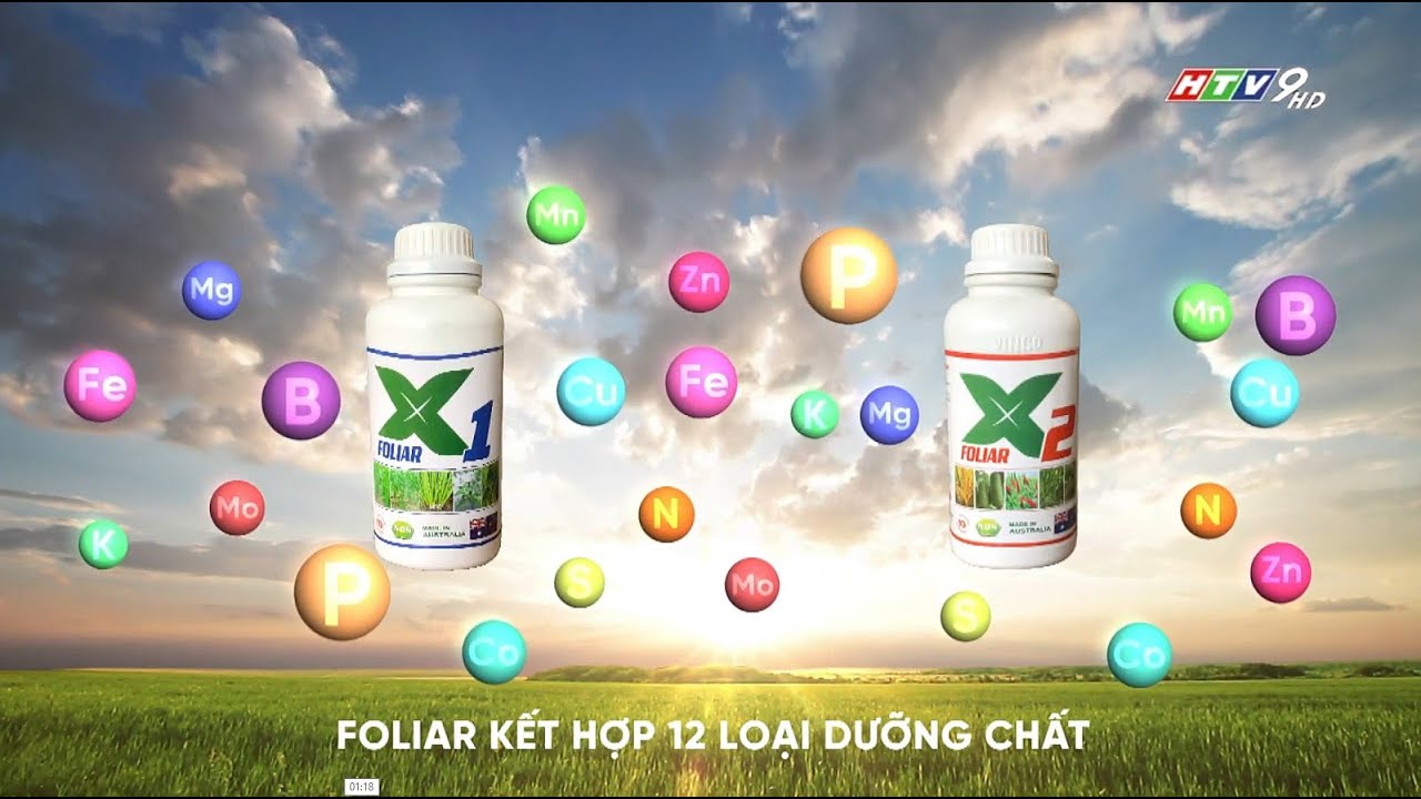 Giải pháp dinh dưỡng hiệu quả cho cây lúa.