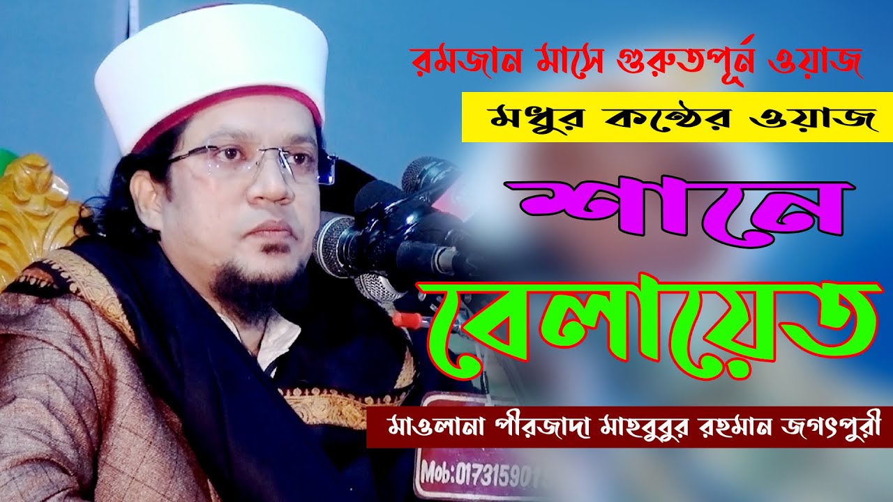 শানে বেলায়েত মনমুগ্ধকর ওয়াজ || মাওলানা মাহবুবুর রহমান জগৎপুরী || mahbubur rahman jogotpuri new waz