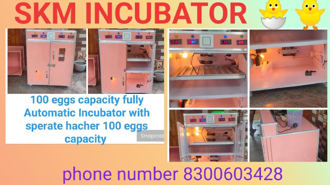 100 eggs capacity fully Automatic Incubator with sperate hacher 100 eggs capacity 8300603428