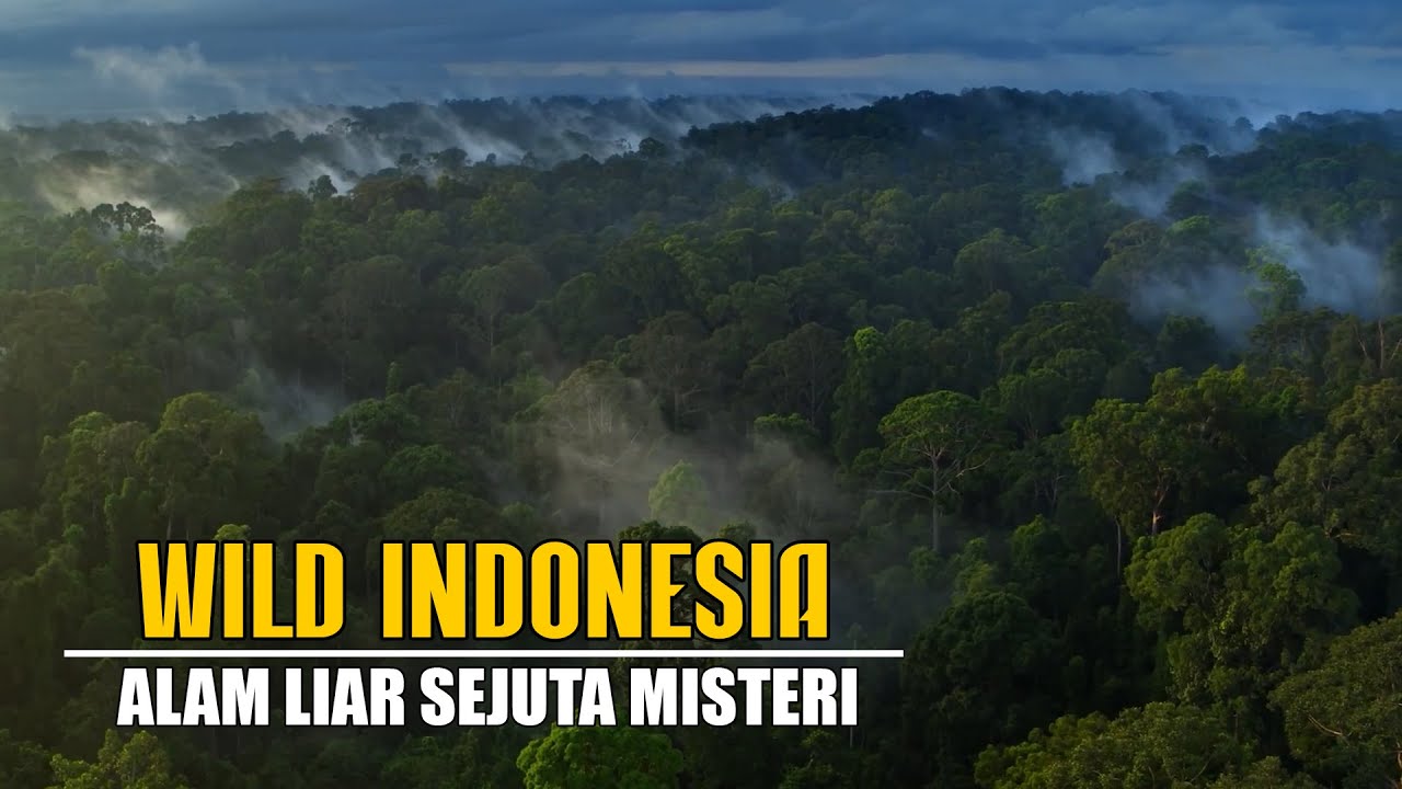 Wild Indonesia!!! Alam Liar Sejuta Misteri Part 1