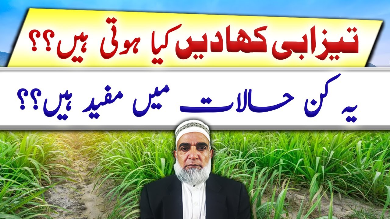 Status of acidic fertilizers || Crop Reformer