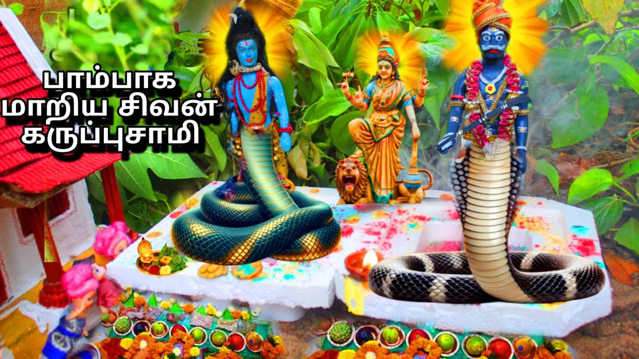 பாம்பாக மாறிய கருப்பசாமி | Eight and five barbies